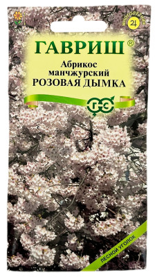 Абрикос манчжурский РОЗОВАЯ ДЫМКА ГАВРИШ