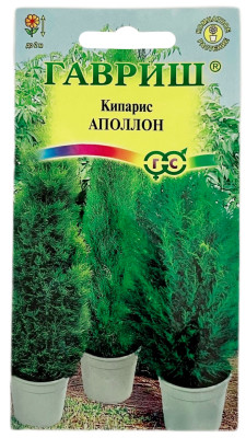 Кипарис АПОЛЛОН ГАВРИШ