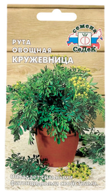 Рута овощная КРУЖЕВНИЦА СеДеК