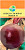 Свекла столовая ЭКШЕН АКВАРЕЛЬ