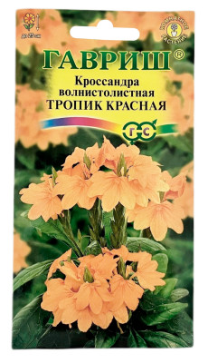 Кроссандра волнистолистная ТРОПИК КРАСНАЯ ГАВРИШ