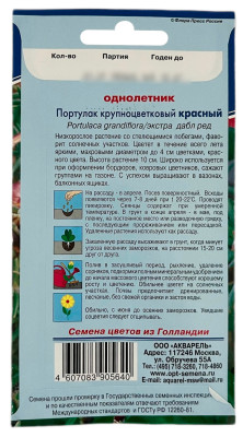 Портулак КРУПНОЦВЕТКОВЫЙ КРАСНЫЙ АКВАРЕЛЬ описание