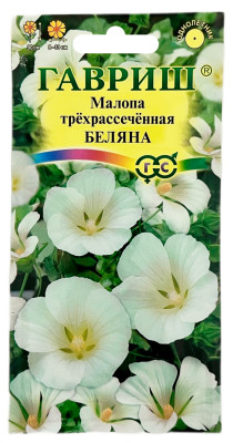 Малопа трёхрассечённая Беляна ГАВРИШ