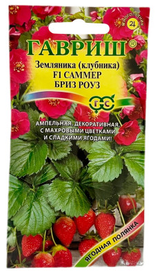 Земляника САММЕР БРИЗ РОУЗ ГАВРИШ