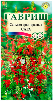 Сальвия САГА ярко-красная ГАВРИШ