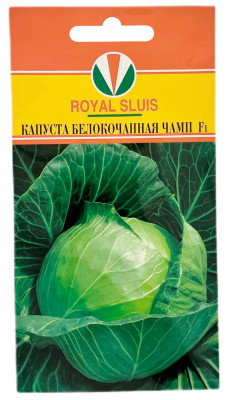 Капуста белокочанная ЧАМП F1 АКВАРЕЛЬ
