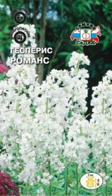 Гесперис Романс (ночная фиалка)