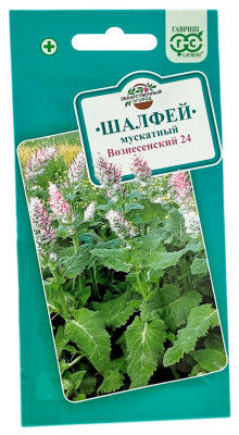 Шалфей мускатный ВОЗНЕСЕНСКИЙ 24 ГАВРИШ