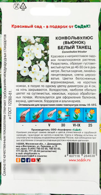Конвольвулюс Белый Танец белый СеДеК описание