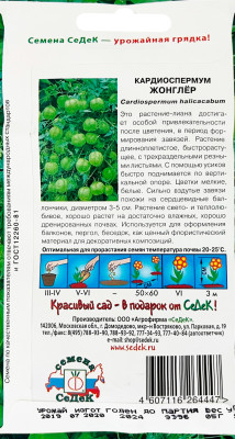 Кардиоспермум Жонглер