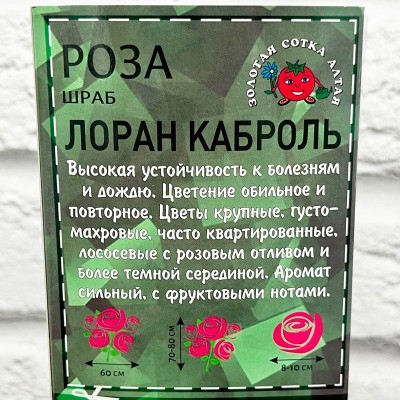 Роза шраб ЛОРАН КАБРОЛЬ описание