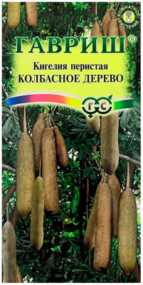 Кигелия Колбасное дерево ГАВРИШ