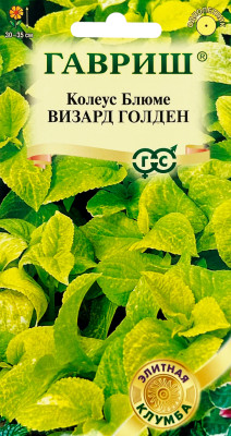 Колеус Визард Голден 4шт Элитная клумба