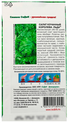 Салат кочанный КОРОЛЕВА ЛЬДА СеДеК описание