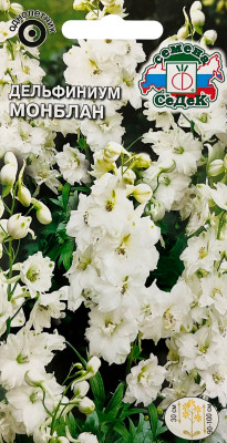 Дельфиниум полевой МОНБЛАН СеДеК