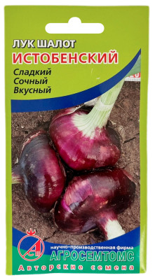 Лук шалот ИСТОБЕНСКИЙ АГРОСЕМТОМС