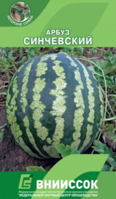 Арбуз Синчевский 10шт Внииссок