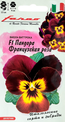 Виола Пандора французская роза 5 шт серия Фарао