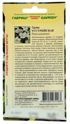 Груша УССУРИЙСКАЯ ГАВРИШ описание