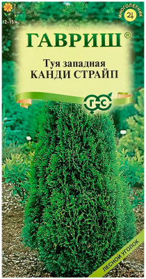 Туя западная Канди Страйп ГАВРИШ