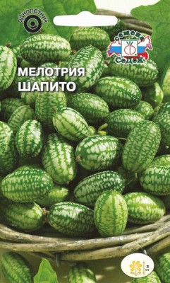 шапито