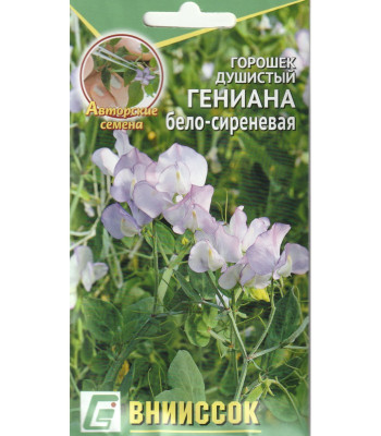 Горошек душистый Гениана