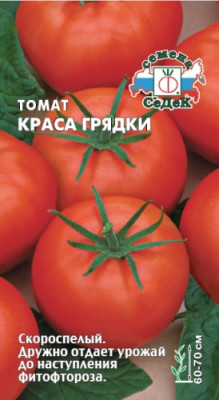 томат Краса грядки