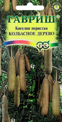 Кигелия Колбасное дерево ГАВРИШ