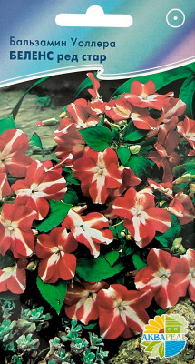 Бальзамин Беленс ред стар