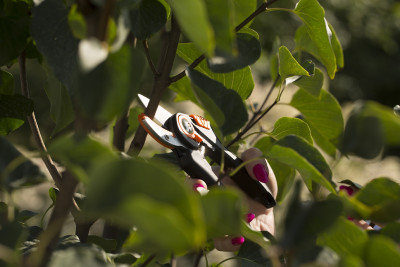 Секатор профессиональный контактный Finland 1430