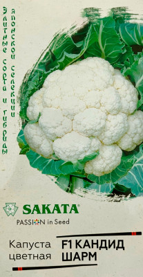 Капуста цветная КАНДИД ШАРМ F1 ГАВРИШ