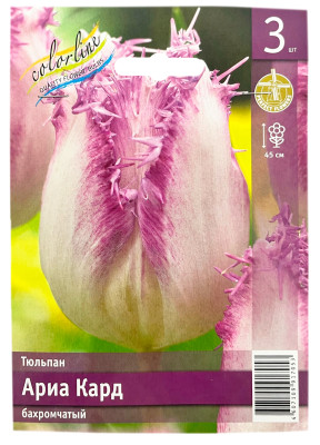 Тюльпан АРИА КАРД бахромчатый