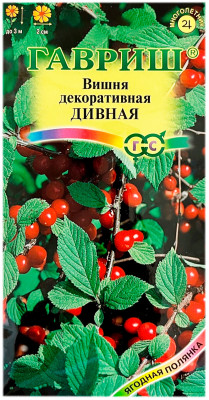 Вишня декоративная ДИВНАЯ