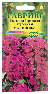 Гвоздика бородатая турецкая МАЛИНОВАЯ ГАВРИШ