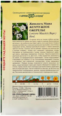 Жимолость Маака жемчужное ожерелье ГАВРИШ описание