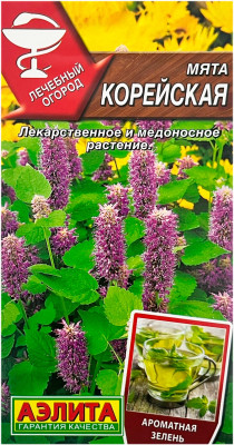 Мята КОРЕЙСКАЯ АЭЛИТА