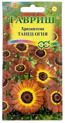 Хризантема Танец огня ГАВРИШ