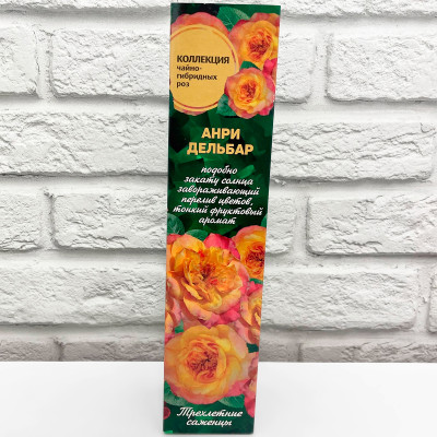 Роза чайно-гибридная АНРИ ДЕЛЬБАР