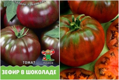 Томат Зефир в шоколаде 10шт