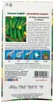 Огурец  корнишон МАША F1 СеДеК описание