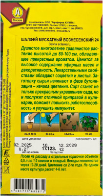 Шалфей мускатный ВОЗНЕСЕНСКИЙ 24 АЭЛИТА описание