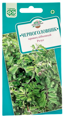 Черноголовник кровохлебковый Резус ГАВРИШ