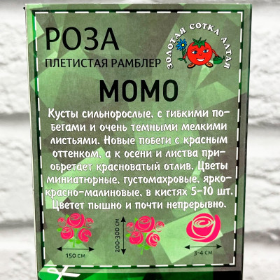 Роза рамблер МОМО описание