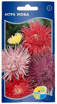 Астра игольчатая НОВА АКВАРЕЛЬ