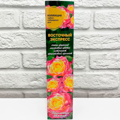 Роза чайно-гибридная ВОСТОЧНЫЙ ЭКСПРЕСС