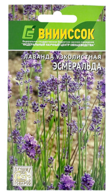 Лаванда Эсмеральда ВНИИССОК