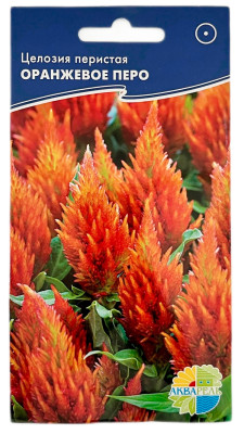 Целозия перистая ОРАНЖЕВОЕ ПЕРО АКВАРЕЛЬ