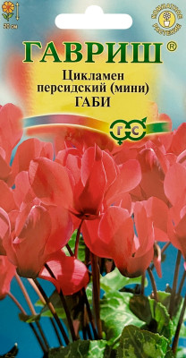 Цикламен персидский Габи ГАВРИШ