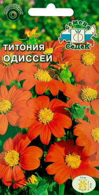 Титония Одиссей СеДеК