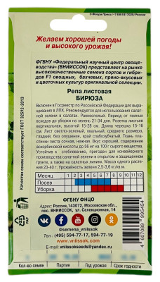 Репа листовая БИРЮЗА ВНИИССОК описание